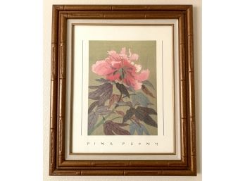 'Pink Peony' Framed Print