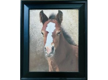 Framed Art Horse Print