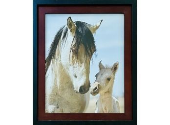 Tony Bruguiere Framed Horse Photo