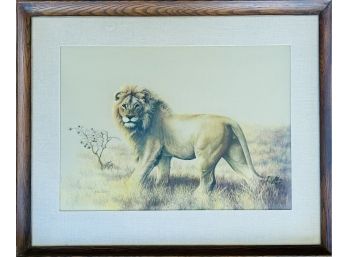 Ellen Dudley African Lion Framed Art Print