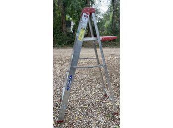 Werner 5ft 355 Ladder