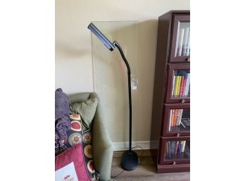 Ott Lite Adjustable Standing Floor Lamp