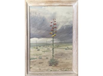 Mescal Century Plant Watercolor Painting, Signed By Sidney Redfield