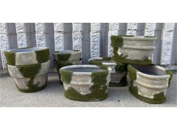 Grouping Of Mossy Pots