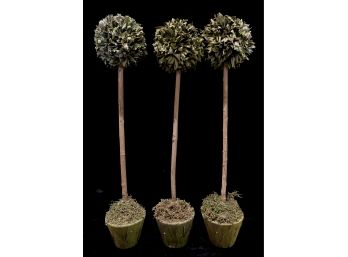 3 Piece Topiary With Leaf Covered Planters
