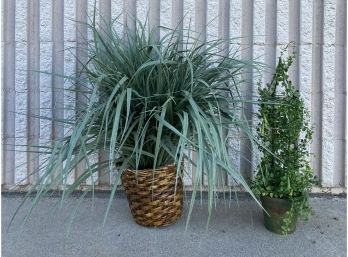 Faux Grass In Wicker Planter And A Faux Creeper Plant