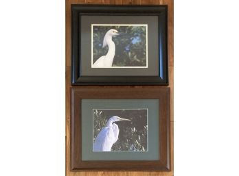 Pair Photographs, One Snowy Egret And The Other A Great Egret