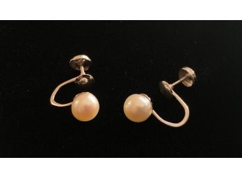 10k Gold Pearl Screwback Earrings