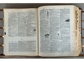 A Standard Dictionary Of The English Language