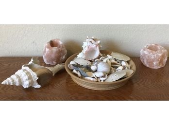 Seashell Collection With 2 Himalayan Salt Candle Holders