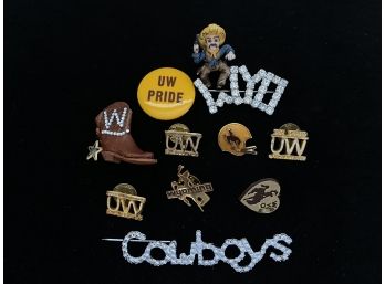 University Of Wyoming Vintage Pin Collection