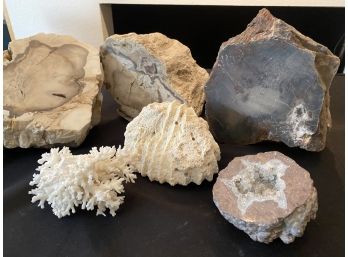 Lot Of Geodes And Coral