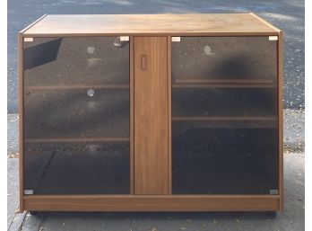 Mid-century Modern Media Cabinet With Glass Doors & CD Storage Compartment