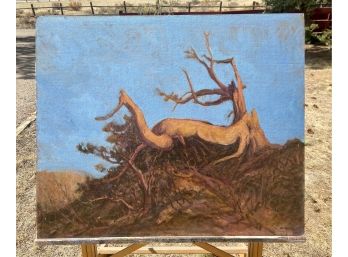 Dave Stirling Signed Tree Line Oil Painting