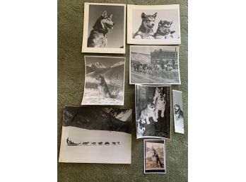 Fritz Kaeser Aspen Husky Photos SIgned With Copy Of Dave Stirling Pencil Etching Husky