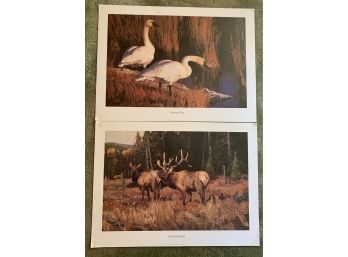 (2) Posters Elk 'Autumn Ritual'  & 'Evening Glow'