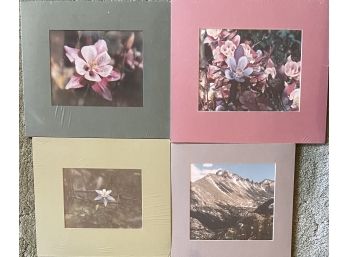 4 Dave Schutz Estes Park Nature Photographs In Cardboard Frames With Original Wrapping