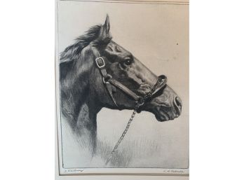 R. H. Palenske 'Whirlaway' Horse Dry Point Etching