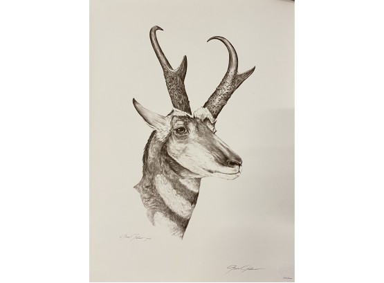 Gene Galasso Antelope Pencil Sketch- Signed & Numbered