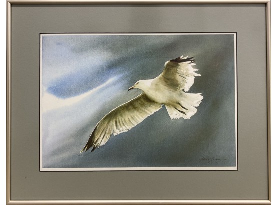 Seagull In Flight By Gene Galasso (Am. 20th Cent.)