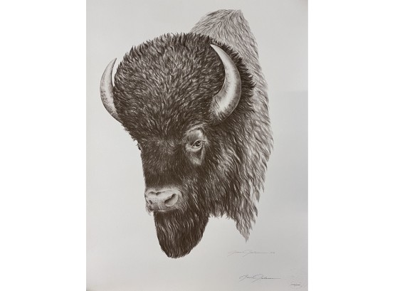 Gene Galasso Buffalo Pencil Sketch- Signed & Numbered