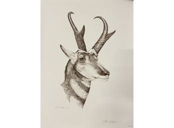 Gene Galasso Antelope Pencil Sketch- Signed & Numbered