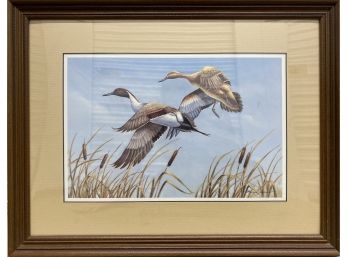 2 Ducks In Flight Watercolor By Gene Galasso (Am. 20th Cent.)