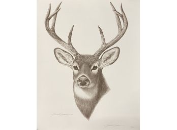 Gene Galasso Deer Pencil Sketch- Signed & Numbered