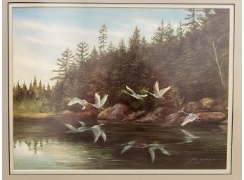 Gene Galasso Trumpeter Swans Flying Limited Edition Print