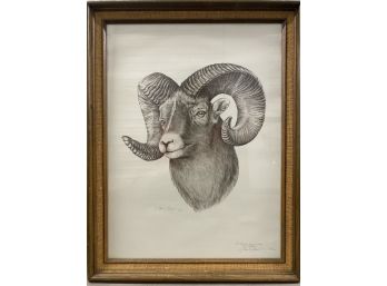 Gene Galasso 1975 Big Game Series NRA Signed And Numbered Limited Edition Big Horned Sheep