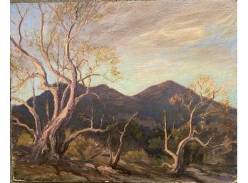 Sycamore Sabino Canon Tucson Arizona By Dave Stirling Dated 1948 Original Oil On Canvas