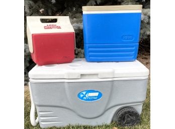Lot Of 3 Coolers