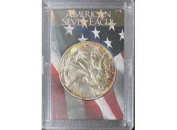 American Silver Eagle 1988 (1 Oz Fine Silver) With Case