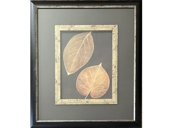 Two Leaf Framed Print