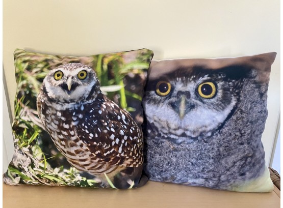 Collection Of Two Owl Pillows- Great For Kids Room