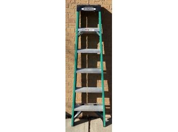 Werner 6 Foot 225 Pound Ladder