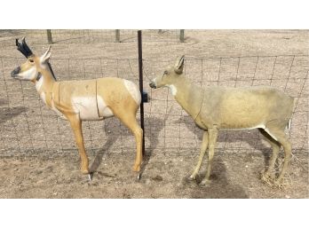 Antelope And Doe Decoys