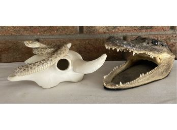 Taxidermy Alligator Head With Ceramic Skull & Snake