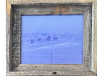 Vibrant Bison Photograph In Handmade Wooden Frame
