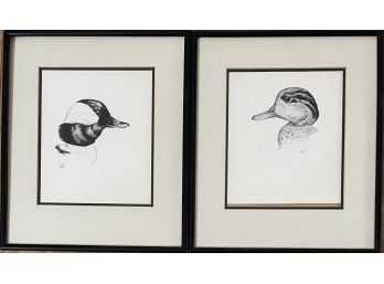 (2) Mallard Sketches In Frame By Hans Albert Hochbaum