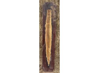 Vintage Epoxied Rattle Snake Skin On Wooden Board