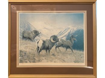 Rams Grazing By Ann Glazier Pencil Signed Print #636 Of 1500