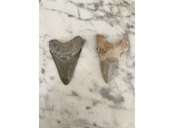 Two Teeth Artifacts