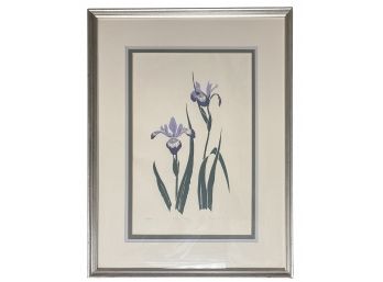 Beautiful Limited Edition Signed & Numbered Iris Print Titled 'blue Flag'