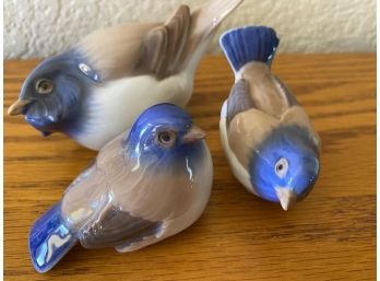 Collection Of Three Bing & Grondahl Porcelain Signed And Numbered Titmouse Birds