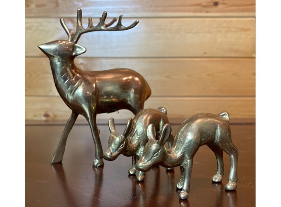 Brass Deer Family