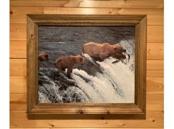 Beautiful Bears Eating Fish Framed Photo