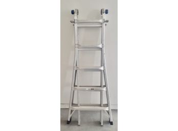 Werner MT22 Extension Ladder