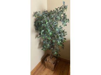 Faux Ficus Tree With Christmas Lights