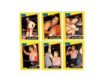 1991 WCW Wrestling Cards
